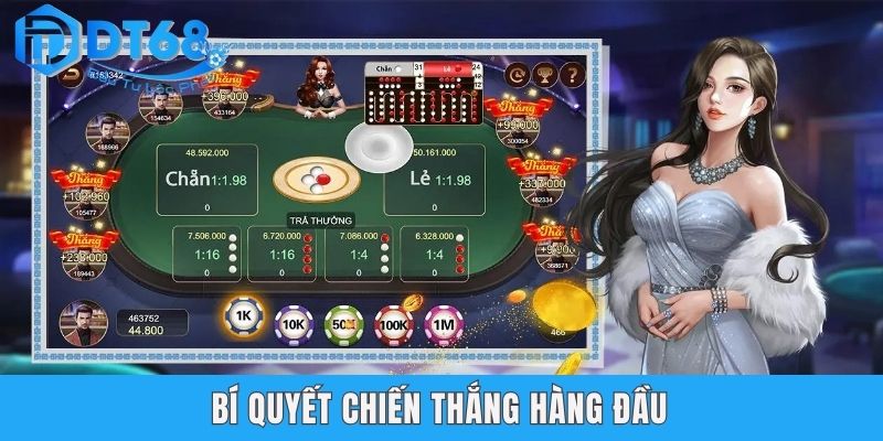 Hướng Dẫn Cách Chơi Xóc Đĩa Online Chi Tiết Tại Nhà Cái DT68 Bí quyết chiến thắng hàng đầu