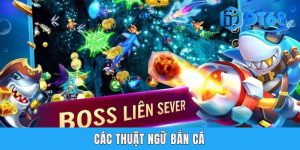 Các Thuật Ngữ Bắn Cá DT68 - Yếu Tố Nền Tảng Để Nhận Thưởng